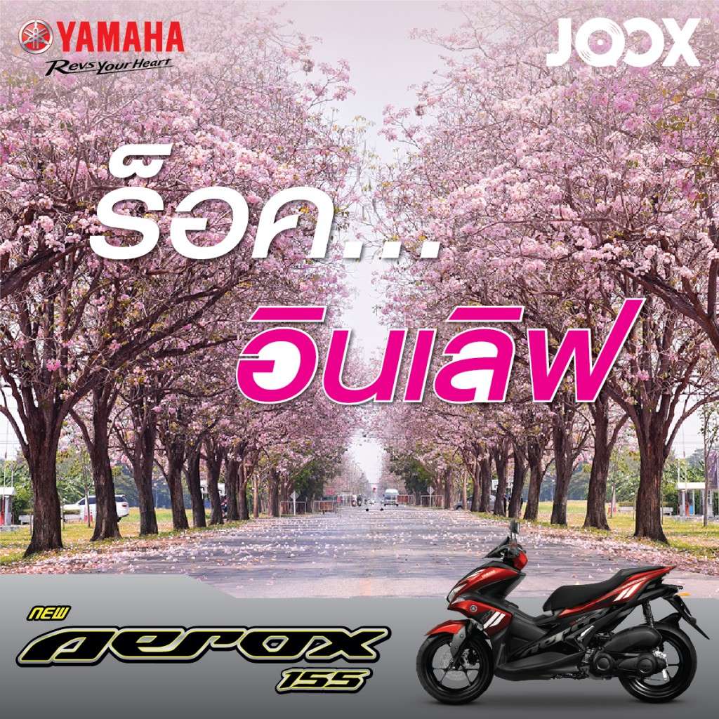 004 - ร็อคอินเลิฟ