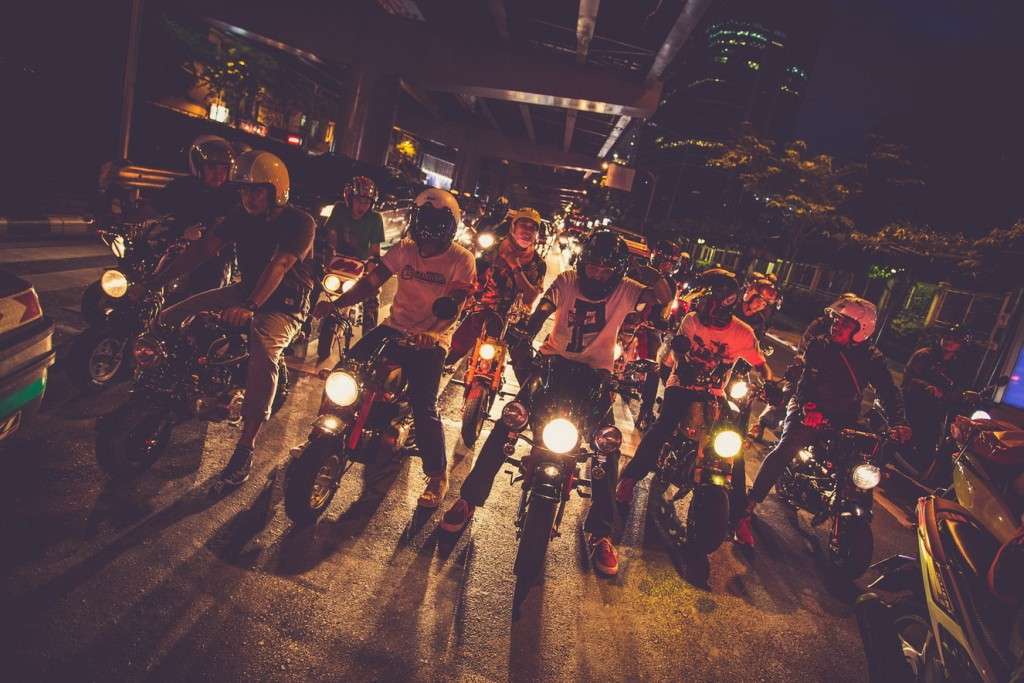 MEET the Monkey 10