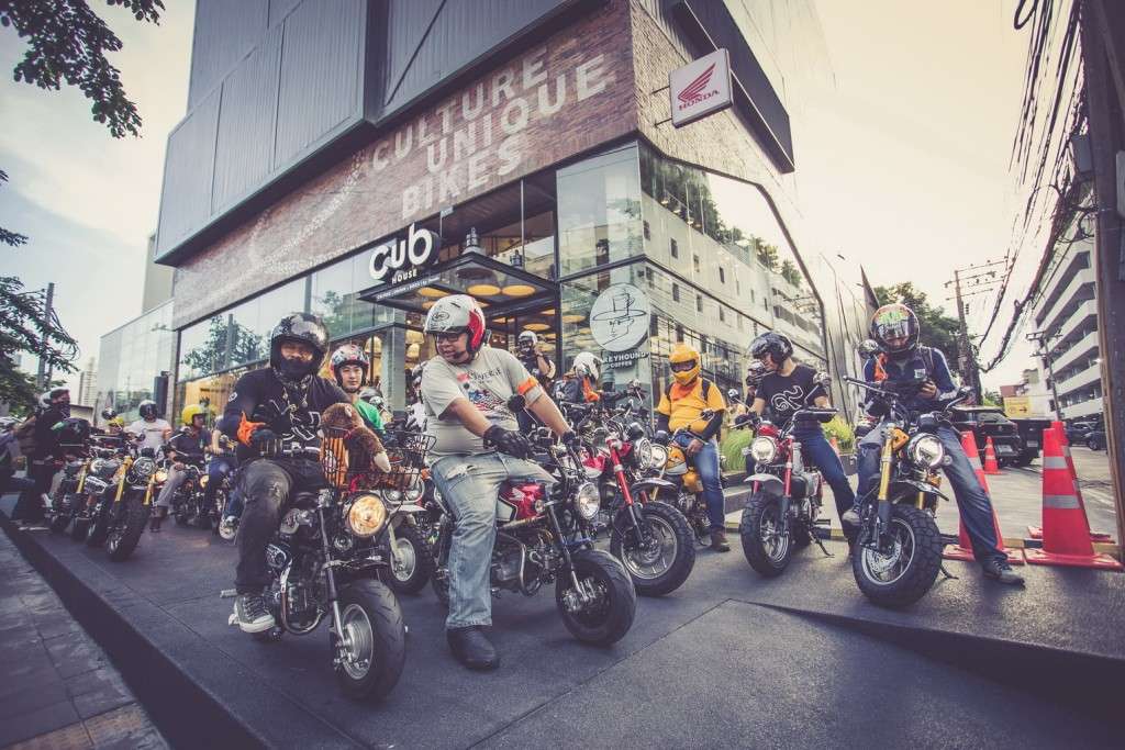 MEET the Monkey 6