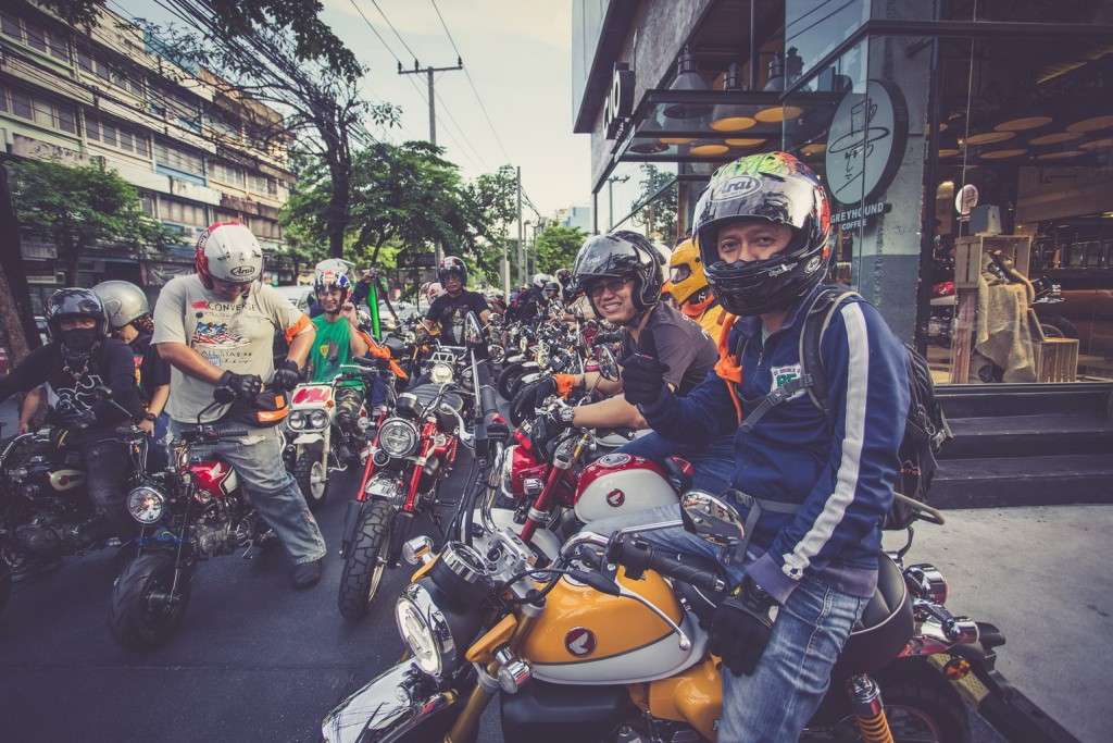 MEET the Monkey 8