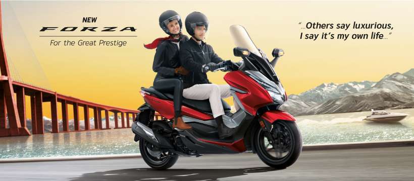 New Forza-01