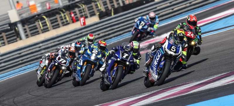 Bol19_Libres-800x365