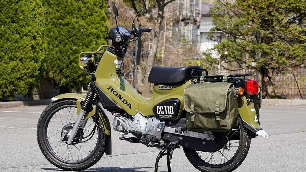 cub50