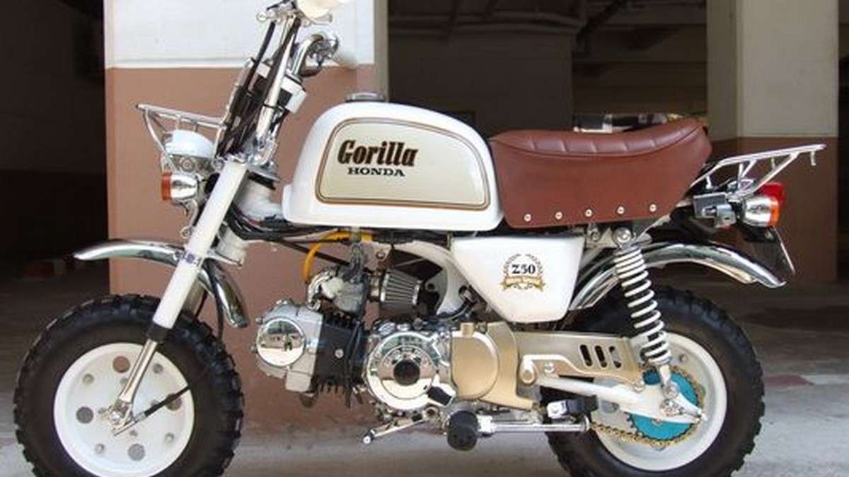 Gorilla