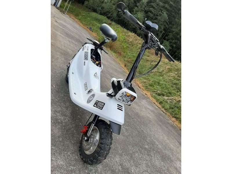 Zook 02