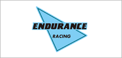 ENDURANCE  - ENDURANCE