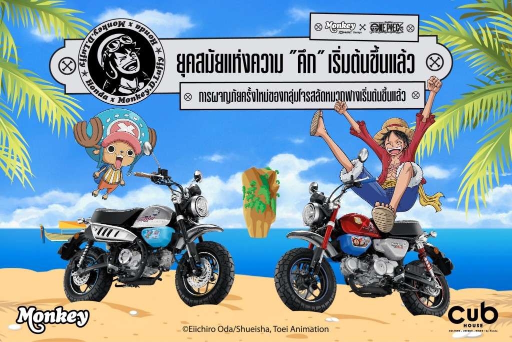 Monkey x One Piece Limited Edition_1