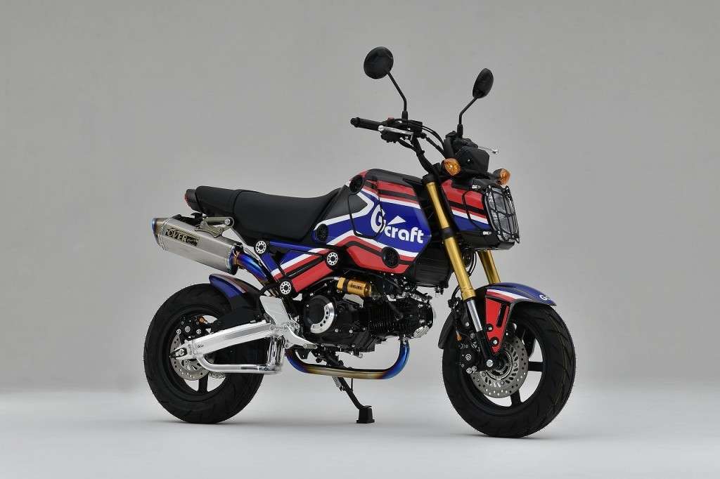GROM-2 (1)