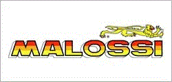 Malossi